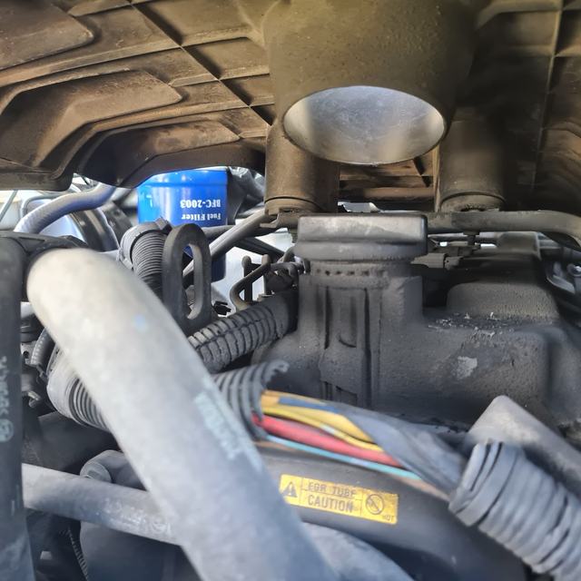 Engine bay hoses and wiring